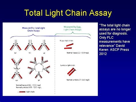 Kappa Free Light Chain Test .